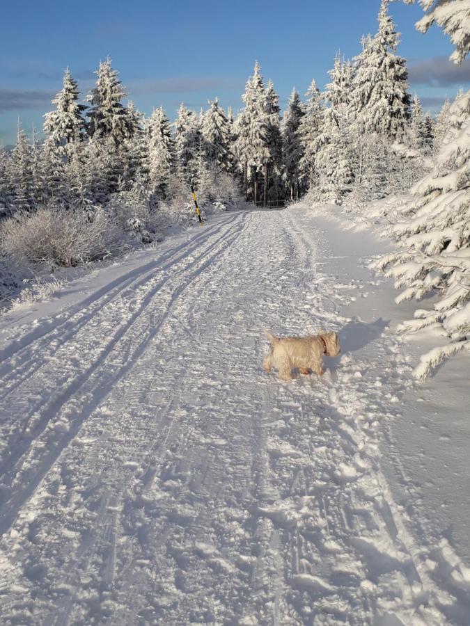 Am Schloessel * Oberwiesenthal